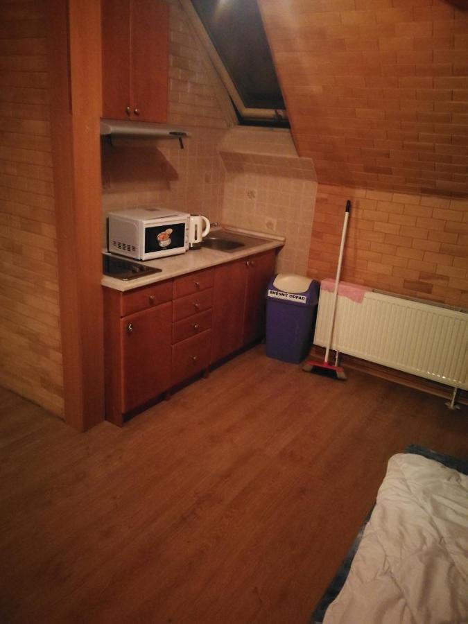 פראג Villa Barrandovska מראה חיצוני תמונה