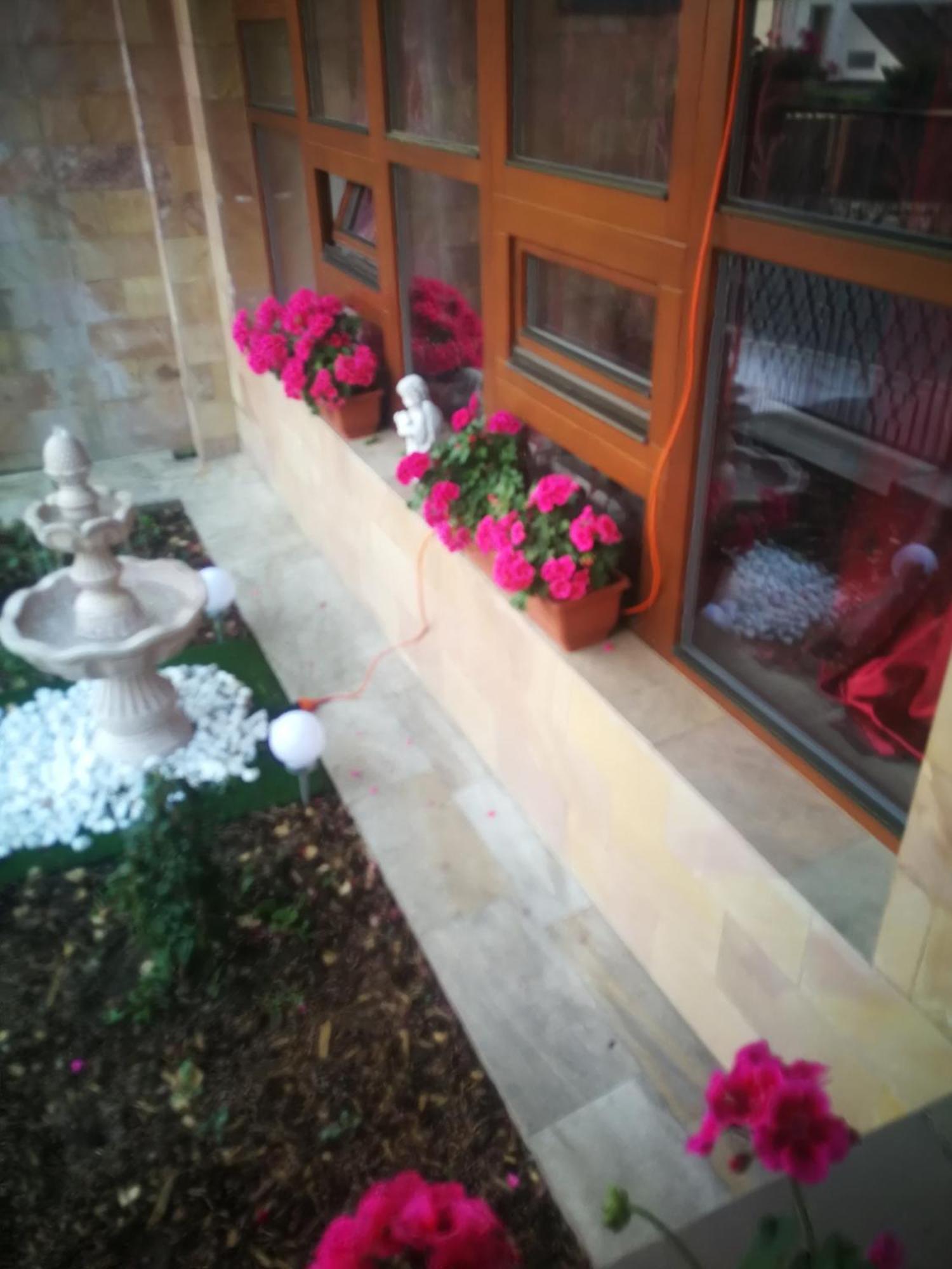 פראג Villa Barrandovska מראה חיצוני תמונה